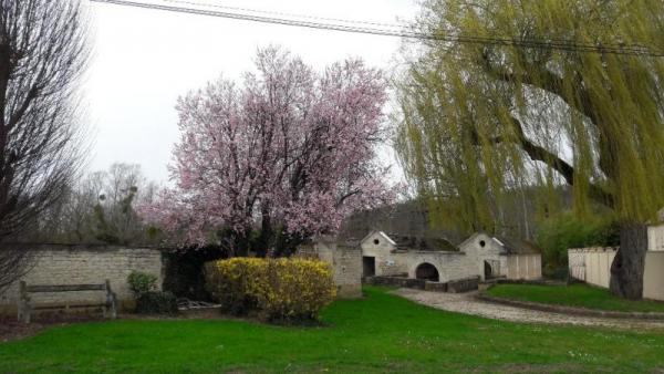 Maryse MERIGOT Vermenton lavoir mars 2020